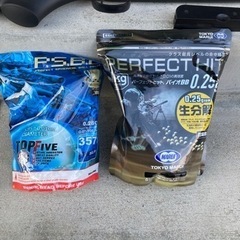 VSR-10プロスナイパーGスペックカスタムの画像