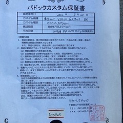 VSR-10プロスナイパーGスペックカスタムの画像