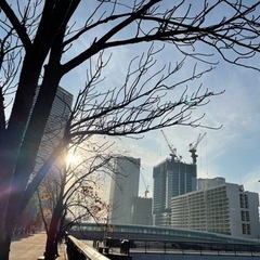 【写真好き女性限定募集！！】散歩好き一眼レフ撮影仲間募集 - 鎌ケ谷市