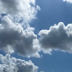 【写真好き女性限定募集！！】散歩好き一眼レフ撮影仲間募集 − 千葉県