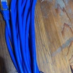 LANケーブル　30mの画像