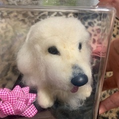 フェスト作りました！白のワンチャン🐶です！