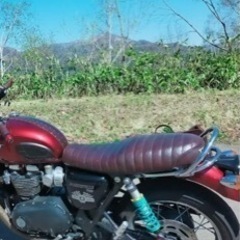 トライアンフ 水冷ボンネビル T120 スリップオンマフラー　B...