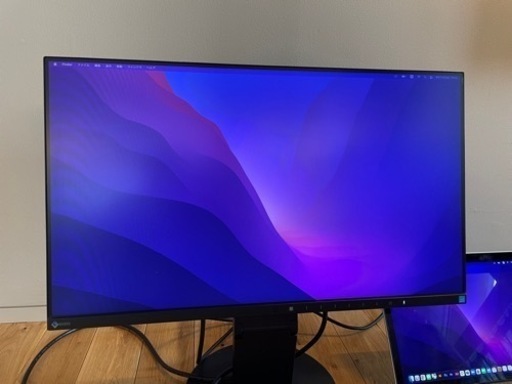 EIZO flexscan 2450 ディスプレイ　モニター　PC 23.8インチ
