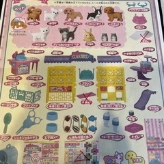 にぎやかペットショップ