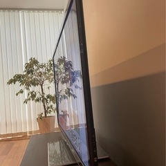 パナソニック　テレビ　ブルーレイレコーダーの画像