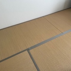 無料　畳5.5畳分　お譲りいたします。６月いっぱいで廃棄します