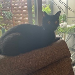 黒サビ兄弟。。