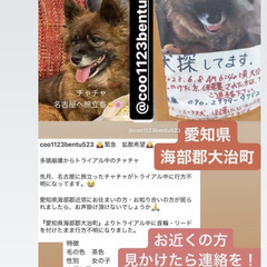 探してます