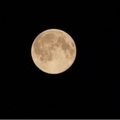 最終値下げ⭐️Canon EOS デジタル一眼レフカメラ レンズ付き その他付属品あり 作例あり⭐️の画像