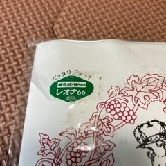 静電気防止加工パンスト2足と旭化成レオナ66 2足の画像