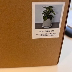 植木鉢 スリコ 新品未使用