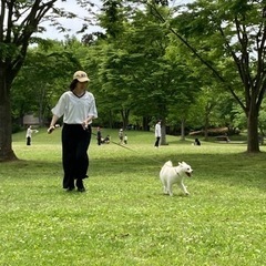 【初心者大歓迎】パークヨガ　民家ヨガ