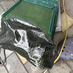 Daiwaの鮎バックL中古品。の画像