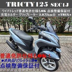 【普通免許仕様もOK】点検整備保証付トリシティ125 SEC1J...