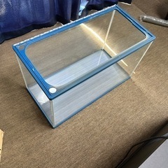 水槽の画像