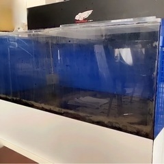 アクリル水槽の中古が安い！激安で譲ります・無料であげます(30