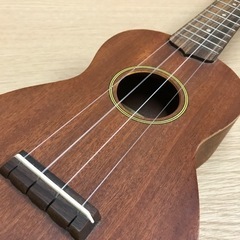 K2306-420 ALA MOANAウクレレ UK-160の画像