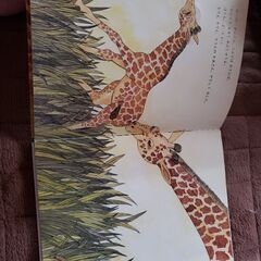 あげます☺絵本2冊の画像
