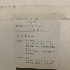 絵画　サルボの画像