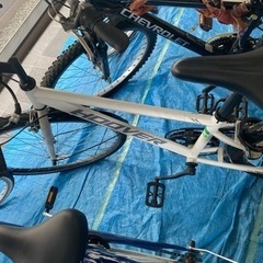 本日引き取り可能な方限定！自転車の画像