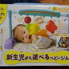 ベビーおもちゃセットの画像