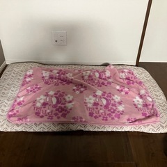 お昼寝布団と毛布セットの画像