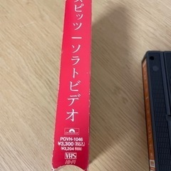 スピッツソラトビデオの画像