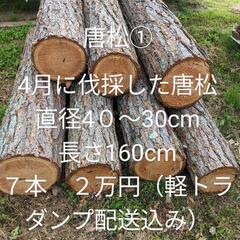 薪①　針葉樹　軽トラ２台分　原木　カラマツ７本