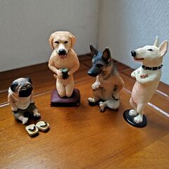 (決まりました)犬達の寄り合い
