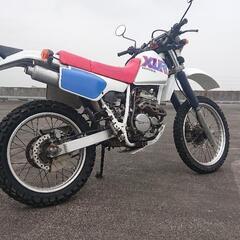 XLR250R.自賠責保険R6年6月。