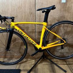 ALLEZ DSW SL SPRINT COMP 2017年モデ...