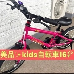 美品✨ ルイガノ スポーツ K16 ライト (16インチ )