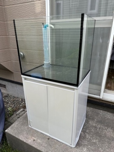 60x45x50 オーバーフロー水槽　海水魚