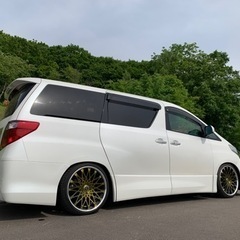 🉐春からのドライブに、アルファード