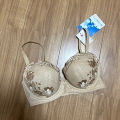 ワコール新品・未使用ブラジャーE70