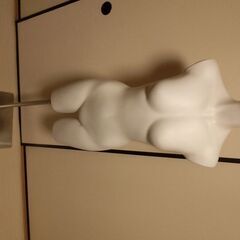 エコボディ　トルソー