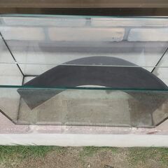 【水槽】40cmガラス水槽の飼育セット（照明有り）