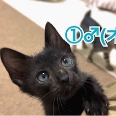 募集停止しています。