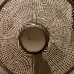 アイリスオーヤマ　扇風機