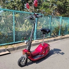 免許不要 特定小型原動機付自転車 特定小型原付 引取り可能な方