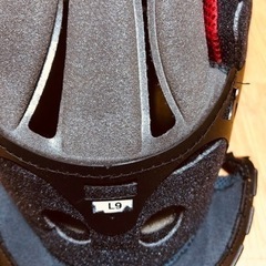 shoei x-14  x-fourteen 内装セットの画像