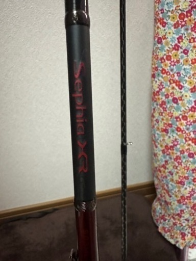 SHIMANO XRエギングロッド&ヴァンフォード3000MHG