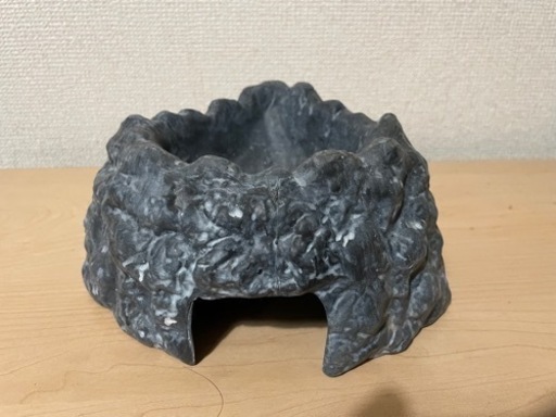 レオパ飼育セット