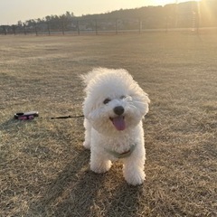 ペット仲間募集🐶❣️
