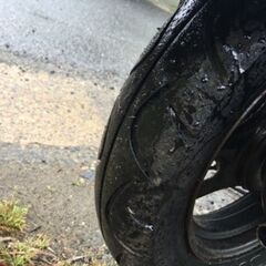 →苫小牧フェリーメット付 乗って帰れる 【 ジョルノ 】