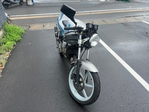 鹿児島市　ホンダ　NS-1 実働車