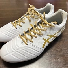 asics DS LIGHT WIDE 27.0