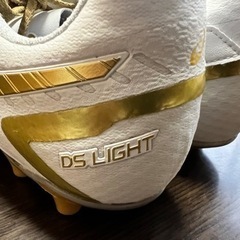 asics DS LIGHT WIDE 27.0の画像