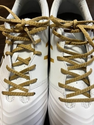 asics DS LIGHT WIDE 27.0